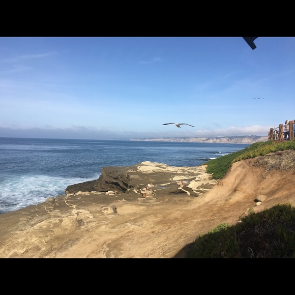 Meet your Posher, Liz. - Picture 5 of 8